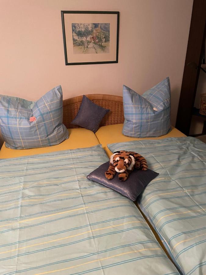 Schoene Ferienwohnung In Bahnhofsnaehe Fuer Urlaub, Studium Oder Arbeit Деггендорф Экстерьер фото
